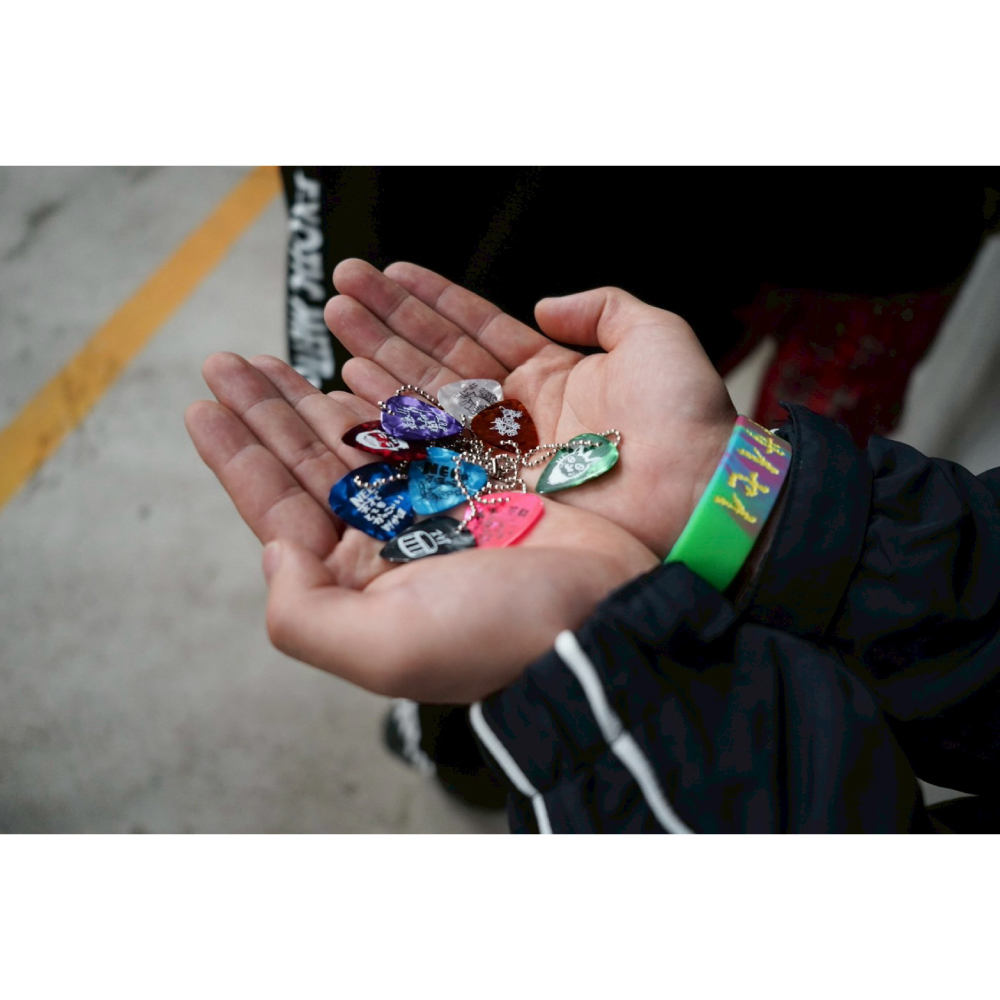 NEEのピックたち