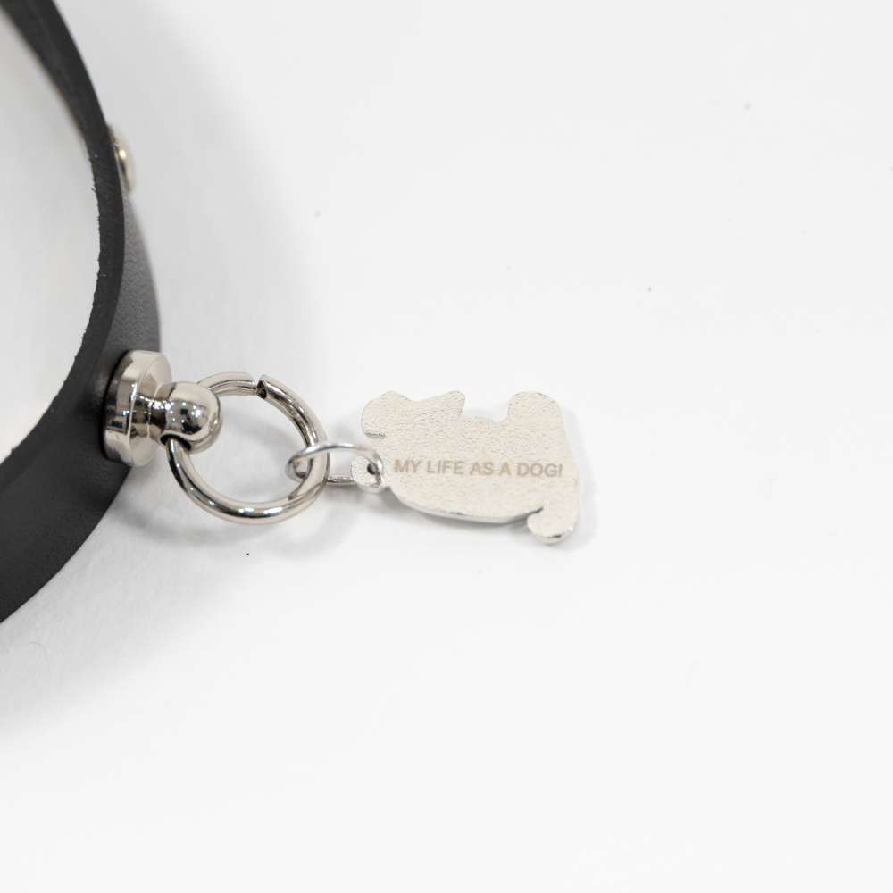 DOG LICENSE TAG CHOKER